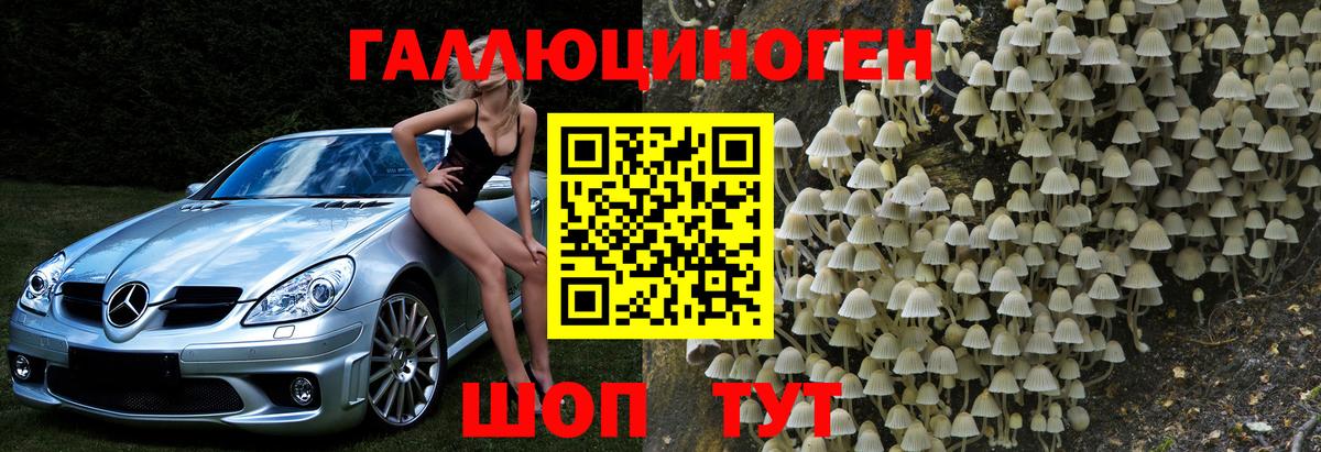 Псилоцибиновые грибы ЛСД Корсаков