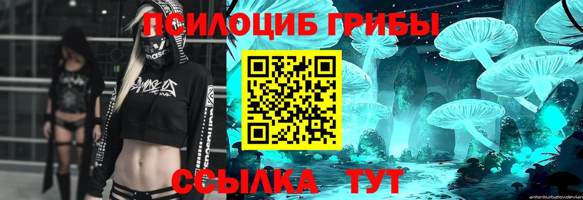 Корсаков  Галлюциногенные грибы Psilocybine cubensis  Вход с VPN 