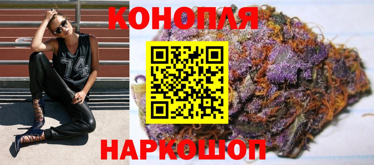 Бошки Шишки план Корсаков